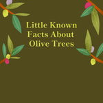 Fun facts about Olive Trees