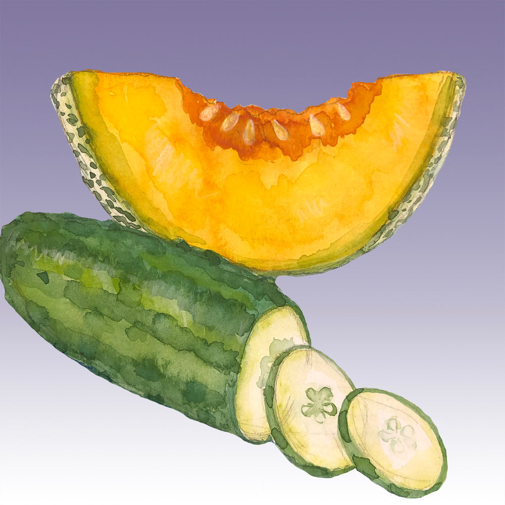 Cucumber-Melon