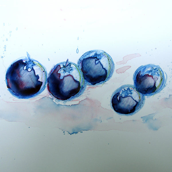Wild Blueberry