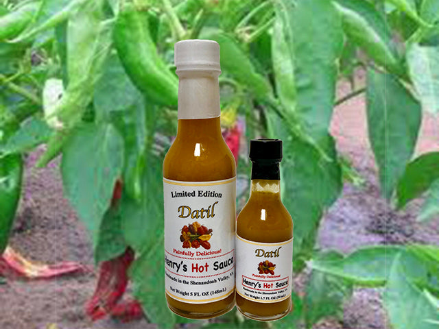 Datil